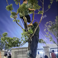 ������Ϊ�˿��ݳ�������ƴ�ˣ������ġ����ݶ������Ǹ�·���ɰ���