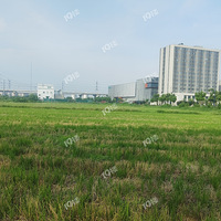 ��ô���������������