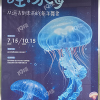 �ߣ������������ȥ��