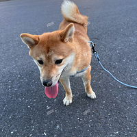 �������Ҹ����˼�