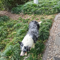 �����죬���������Լ�����������Ӿ