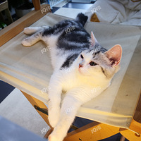 ����ɰ��ж�λ����