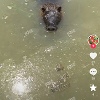 ̫���ˣ��������ﺣ�������ˣ�������Ķ���챻�������ˡ�