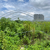 ���ڼ���������ĵ�10Ķ�أ�һ���µĳɹ�