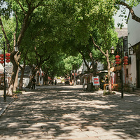 �ʺϾ����ĵط���������