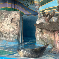 ��� �λù�