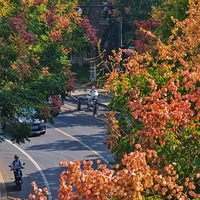 ������������·��Ϊʲô������ô����