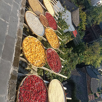 ����ɹ�＾