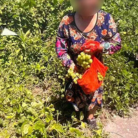 ƽ���ϰ屨���ˣ��������Ȼ��������͵���ѣ�