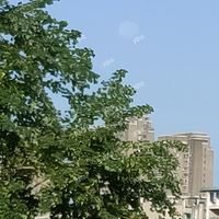 ʮ�˵�����