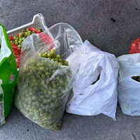 ƽ����Ůһ������԰�0Ԫ������������ץס������5-7�첻�ȡ�