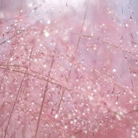 ����Ƭ����������ġ����컨���������ߣ�