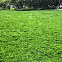 �ؿ����ز��Ի���Ҳ��10-15�꣬�ȴ��˽���ȴҪ����һ����