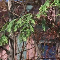 �����ʱ�����С��ȫ���ˣ�����15�������ӷ�Ҫ��Ҫ���Σ�