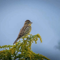 ����һ�����������ٴ��������ˣ���������������