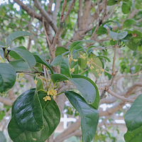 ʮ�¹�Ȼ�ǲ�ɫ�ļ��ڣ�̫������