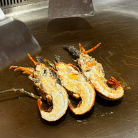 ���˹�ûʲôë����������