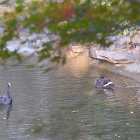 ��ϼɽ�ͷ㣬�ĵ��е�࣬�ٷ�һЩ