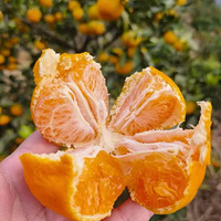 �Լ��ֵ��ٺ�ӿȪ��ɽ�۽�