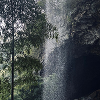 ���������ܱ�������