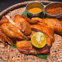 ������ϲ˲����Ƽ�