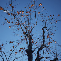 ��Դ����Σ�����Ȼ�ķ�⡣