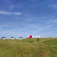 ��һƬ���ɿ�Ұ�·��ػز�ԭ