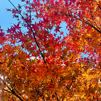 ���ݰ���ͽ���ߴ򿨳ɹ�