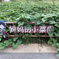 �����������Լ��Ŀ���ʱ��