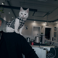 �����³�Ա