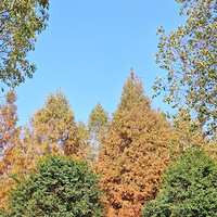 ���빫԰�⼸������Ư��