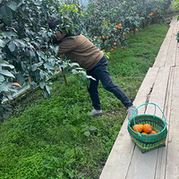 ������������Ž������Ӳ�ժ