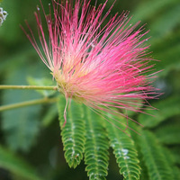 ��Щ���Ĺ��Ļ����ݲ�