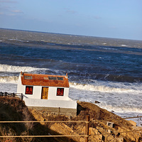 ������һ�ѹ¶�����