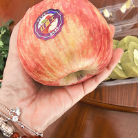 �����Է羰�������