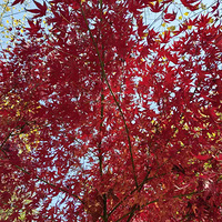 ̫���ߵĿ��ȣ���һ��ȵ���