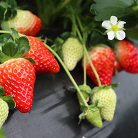 �����˵���ͷ�ã��Ѿ����У����ڽ������Ҫ�ٵȵȡ���