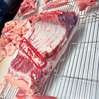 ̯���翪���⣬˲���ŧ����˵��û�£������ģ����������ܳ���