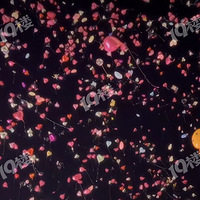 �����̳����������Ĳ��÷���������˵��ȫ���˶����÷ţ�