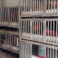 ����������...�¸¸¸¸�...ͩ��һ���̸���ֳ���ֳ��ֳ���