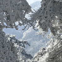 �Ϸ���׷ѩGET��СС����������