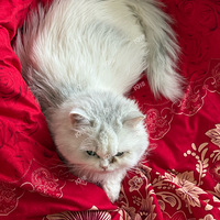 ��¼����������Ƭ����ѹ��������̫����