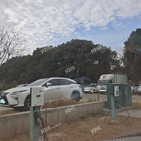 ����������׮������ȡͣ���Ѳ���Ŷ