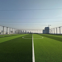 �����µر����ˣ�Ԥ�ƴ��ں�����Ӫ