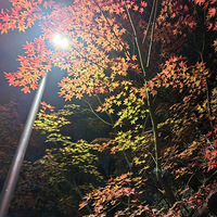 �������Թ���