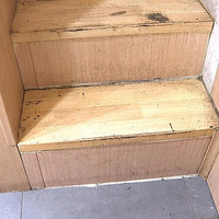 ֻ�ܽ�֫���˿�ˤ���ȣ����겻���⣺�������˻��������֡�