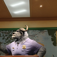 ���Ϻ���ʿ�������֮��