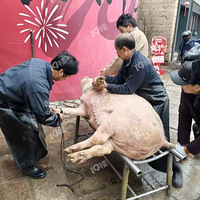 ��������ת�²���ζ�ֳ���ʯĥ���㡢��ʯӭ����̫���ˣ�