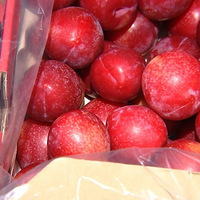 ����ɽ�˺���������������ˮ���г�̫������  �����ӽ���20%