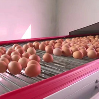 Ͷ����������һ����׬���򣿣���������Ͷ��25000�ֺ���ˡ�